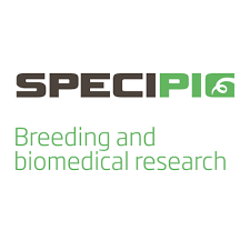 Laboratorio Ensayos: SPECIPIG Ensayos preclinicos in vivo